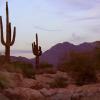 McDowell Mountains at Dusk